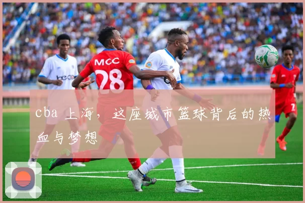 cba 上海，这座城市篮球背后的热血与梦想