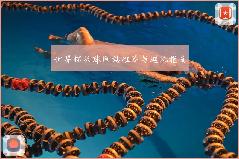 世界杯买球网站推荐与避坑指南