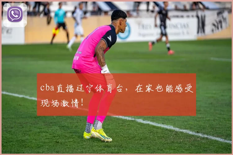 cba直播辽宁体育台，在家也能感受现场激情！