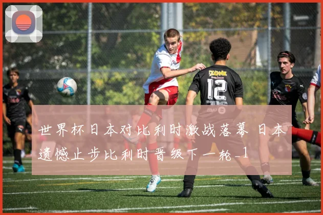 世界杯日本对比利时激战落幕 日本遗憾止步比利时晋级下一轮_1