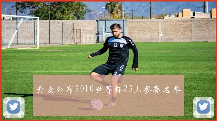 丹麦公布2010世界杯23人参赛名单