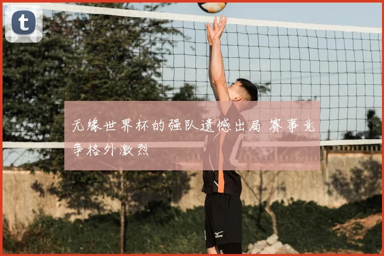 无缘世界杯的强队遗憾出局 赛事竞争格外激烈