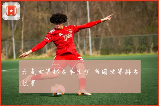丹麦世界杯名单出炉 当前世界排名位置