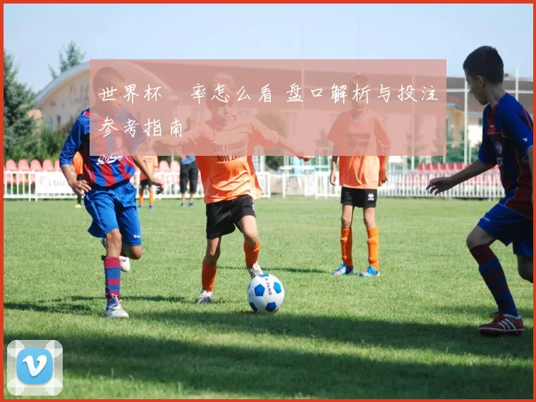 世界杯賠率怎么看 盘口解析与投注参考指南